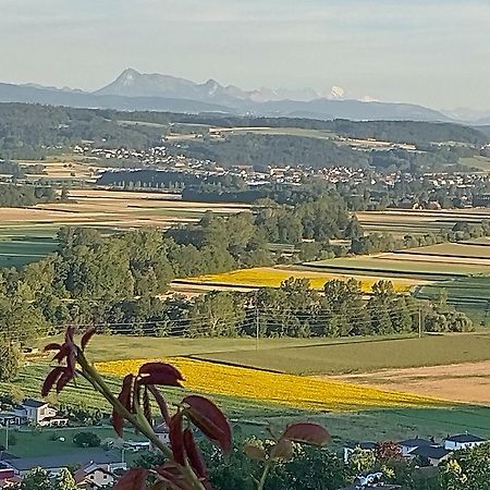 Bed and Breakfast Swiss Borzoi House Vully-les-Lacs Экстерьер фото