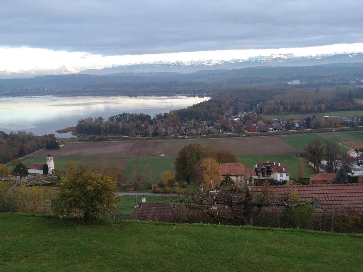 Bed and Breakfast Swiss Borzoi House Vully-les-Lacs Экстерьер фото