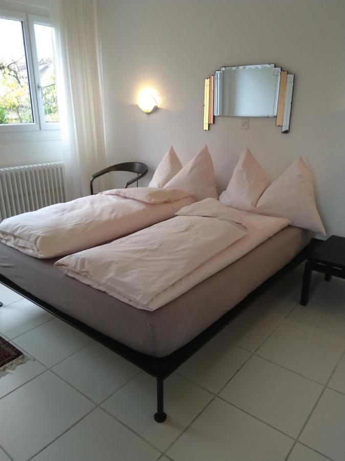 Bed and Breakfast Swiss Borzoi House Vully-les-Lacs Экстерьер фото