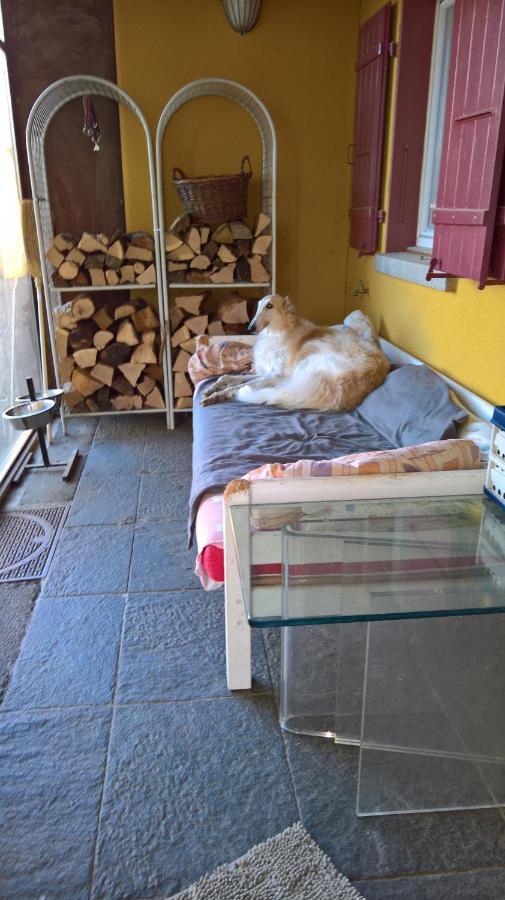 Bed and Breakfast Swiss Borzoi House Vully-les-Lacs Экстерьер фото
