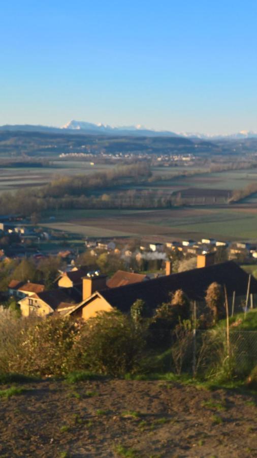 Bed and Breakfast Swiss Borzoi House Vully-les-Lacs Экстерьер фото