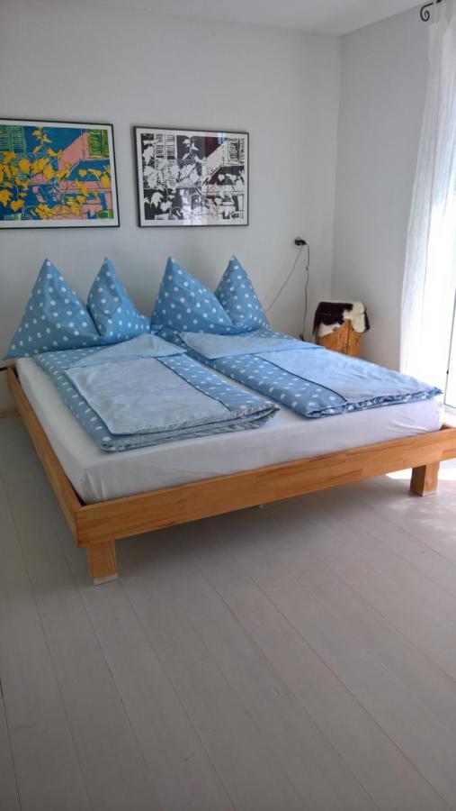 Bed and Breakfast Swiss Borzoi House Vully-les-Lacs Экстерьер фото