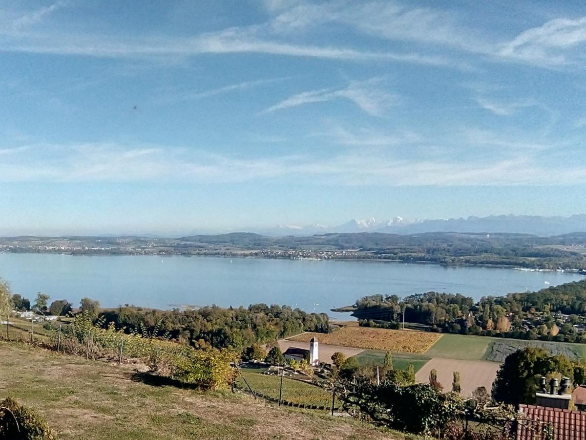 Bed and Breakfast Swiss Borzoi House Vully-les-Lacs Экстерьер фото