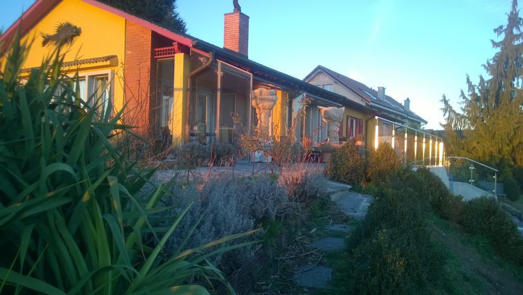 Bed and Breakfast Swiss Borzoi House Vully-les-Lacs Номер фото