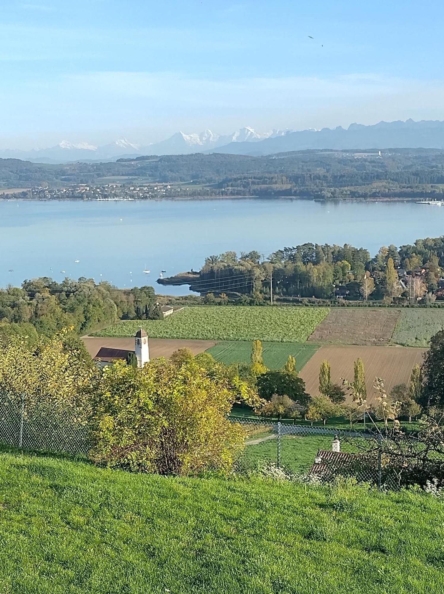 Bed and Breakfast Swiss Borzoi House Vully-les-Lacs Экстерьер фото