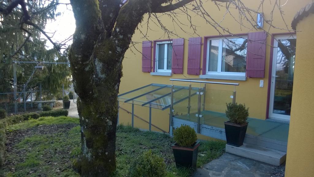 Bed and Breakfast Swiss Borzoi House Vully-les-Lacs Экстерьер фото