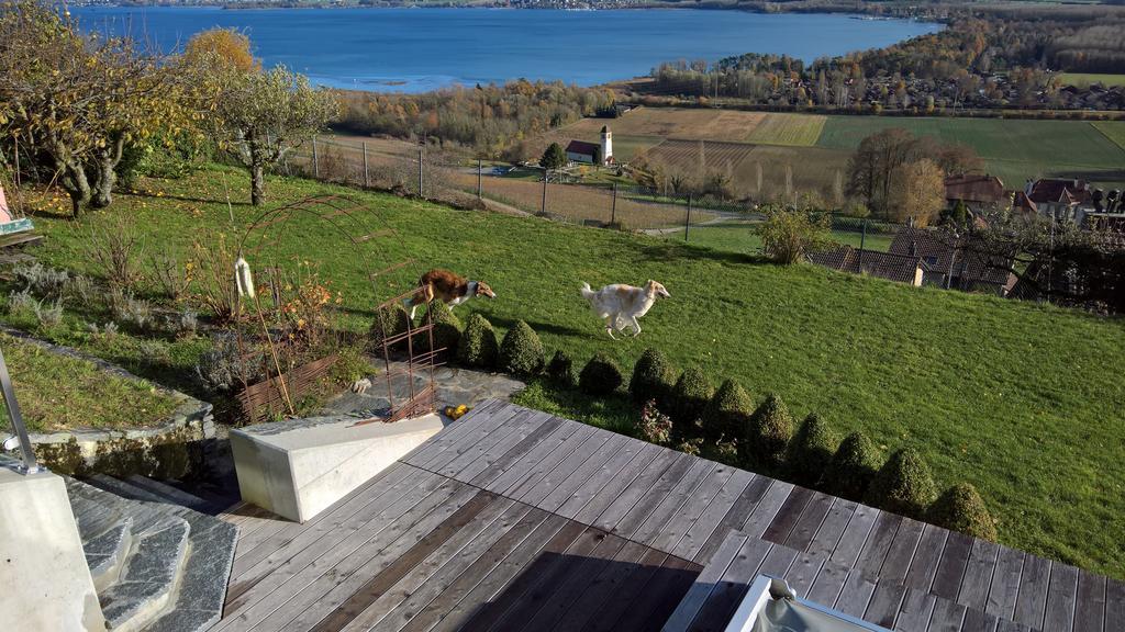 Bed and Breakfast Swiss Borzoi House Vully-les-Lacs Экстерьер фото