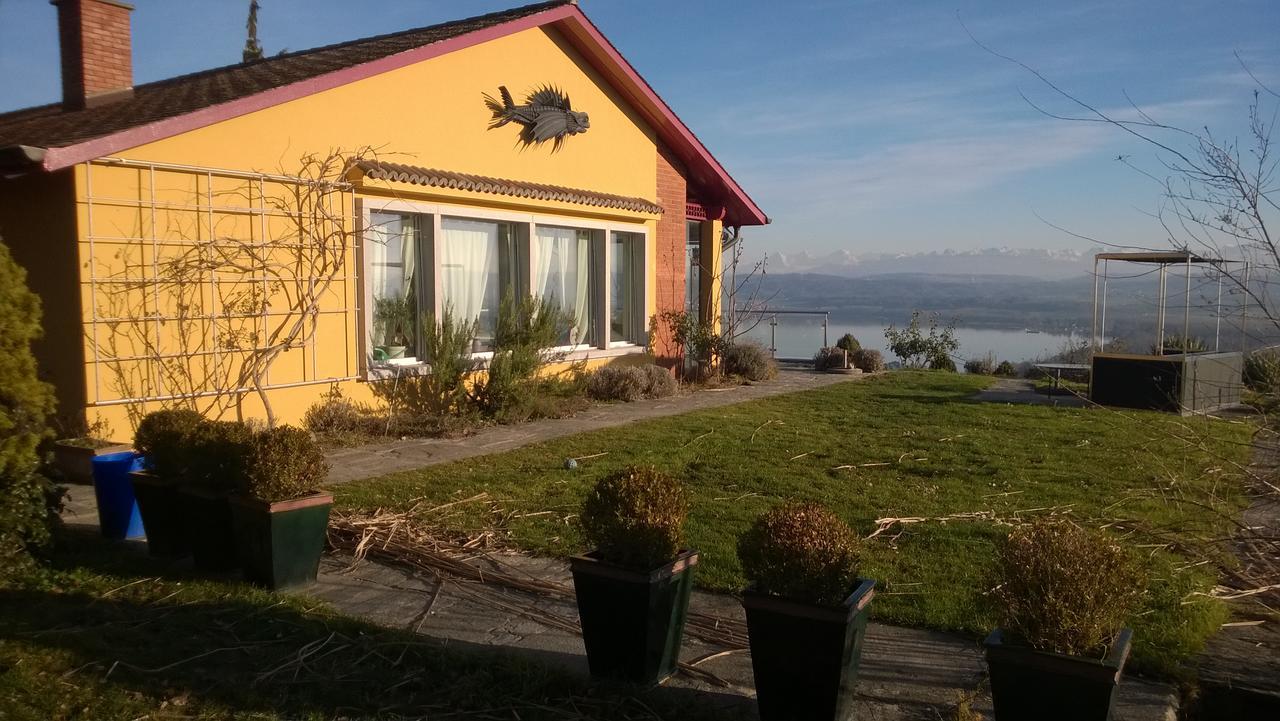 Bed and Breakfast Swiss Borzoi House Vully-les-Lacs Экстерьер фото