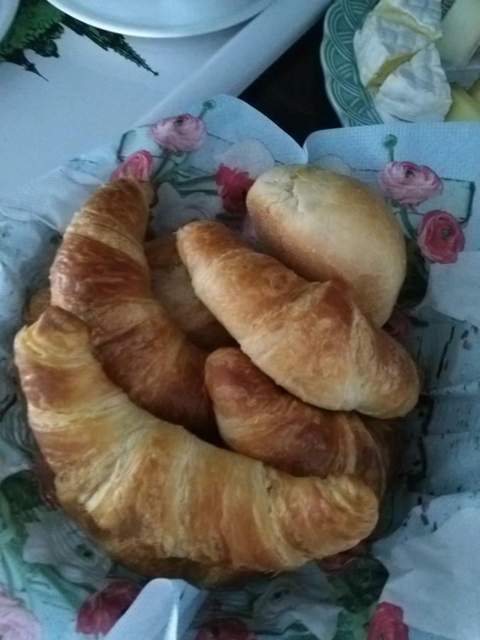 Bed and Breakfast Swiss Borzoi House Vully-les-Lacs Экстерьер фото